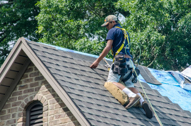 Best Gutter Installation and Roofing  in East Lake, FL